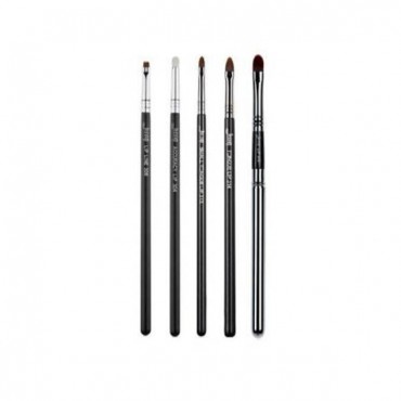Set de brochas de labios PRO 5 piezas - T325: Black/Silver