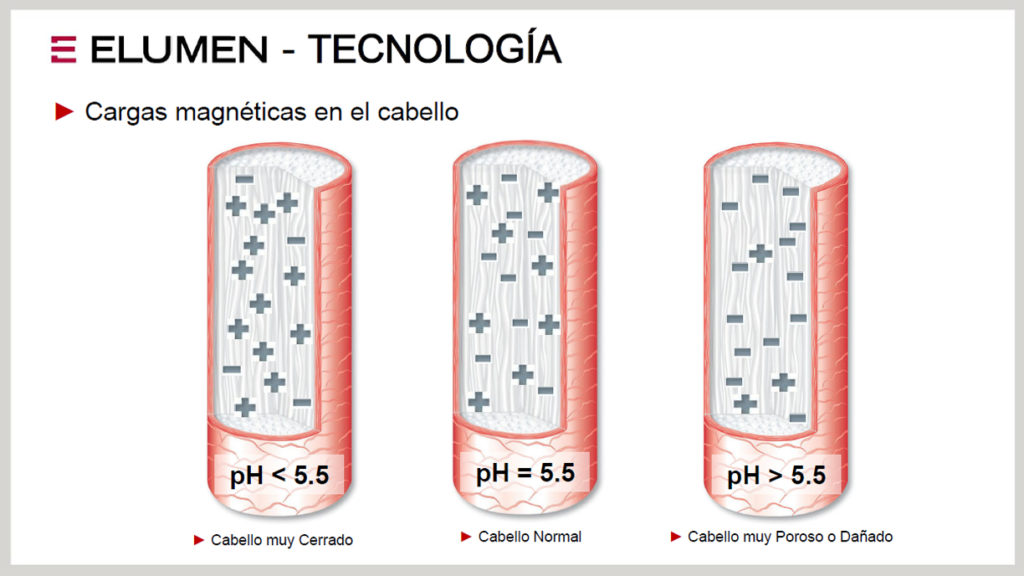 Diferentes niveles de Ph que podemos encontrar en el cabello.