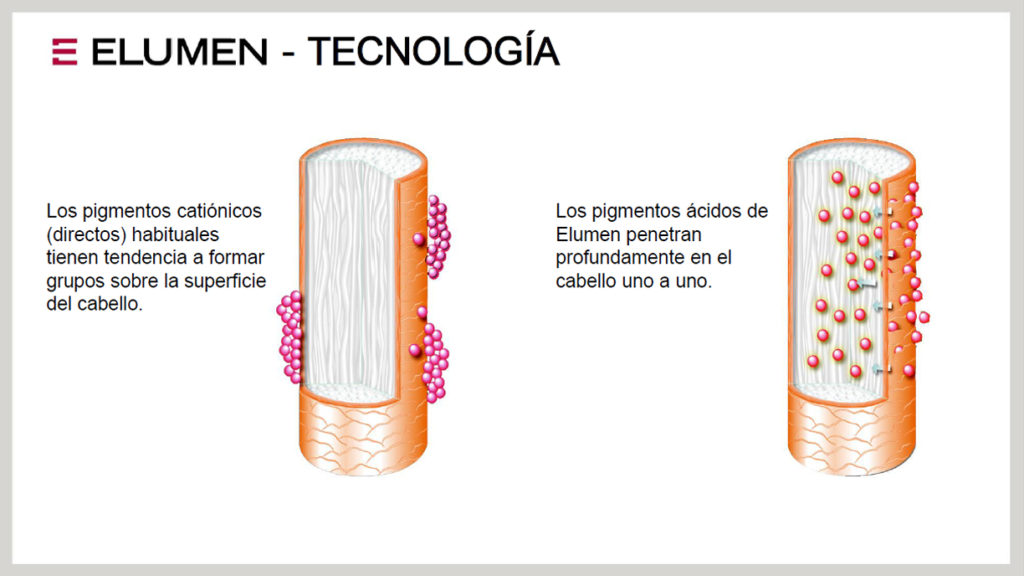 Descripción gráfica de la profundidad que alcanzan los pigmentos de Elumen